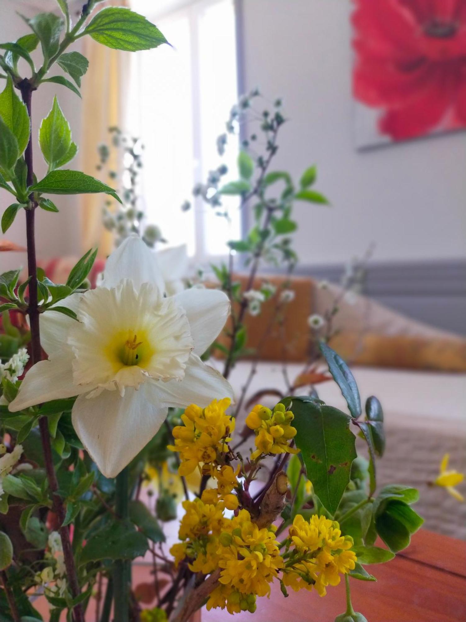 Bed & Breakfast La Maison *